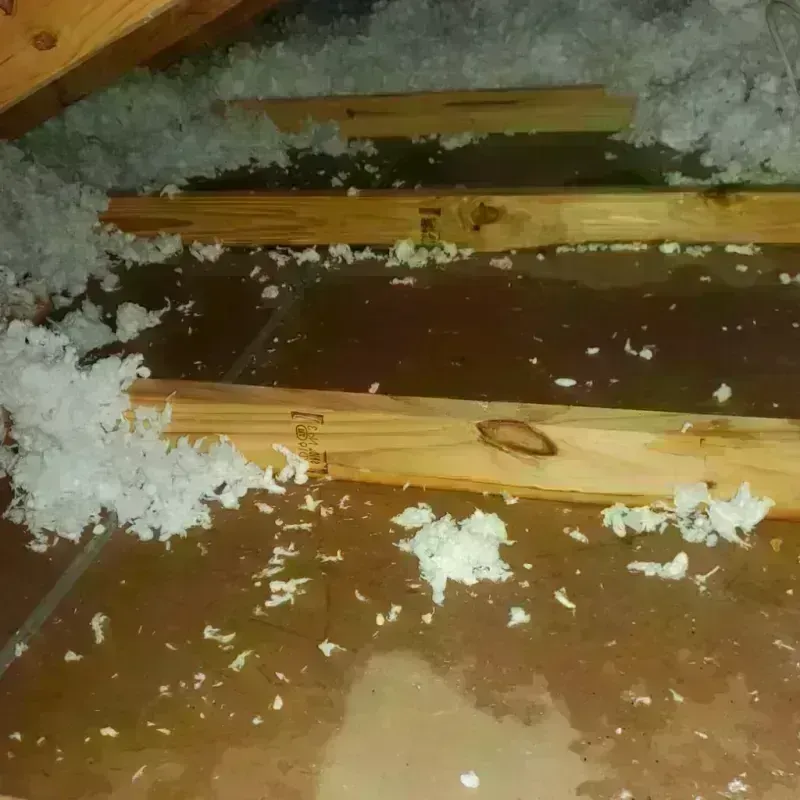 Attic Water Damage in Rotan, TX